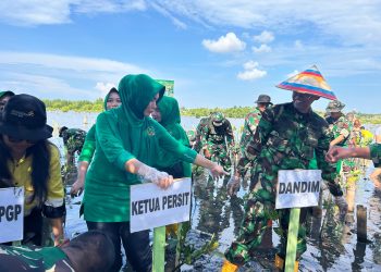 HUT TNI ke-80, Kodim 1313 Pohuwato Gelar Penanaman Mangrove.