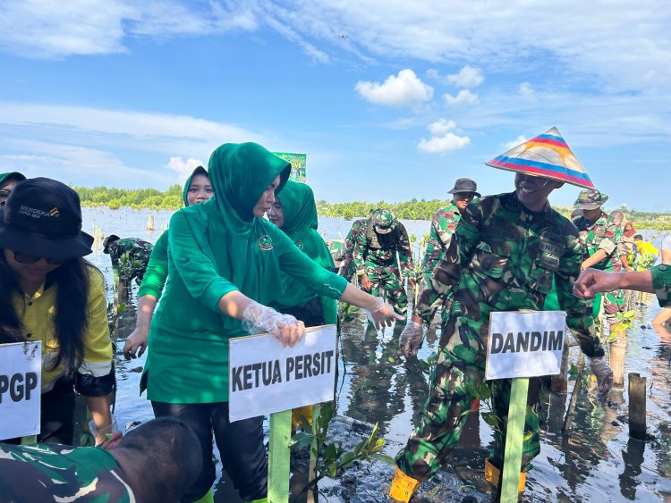 HUT TNI ke-80, Kodim 1313 Pohuwato Gelar Penanaman Mangrove.