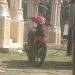 POLSEK POPAYATO BARAT SELIDIKI KASUS CURANMOR DI MOLOSIFAT, PANGGIL SAKSI