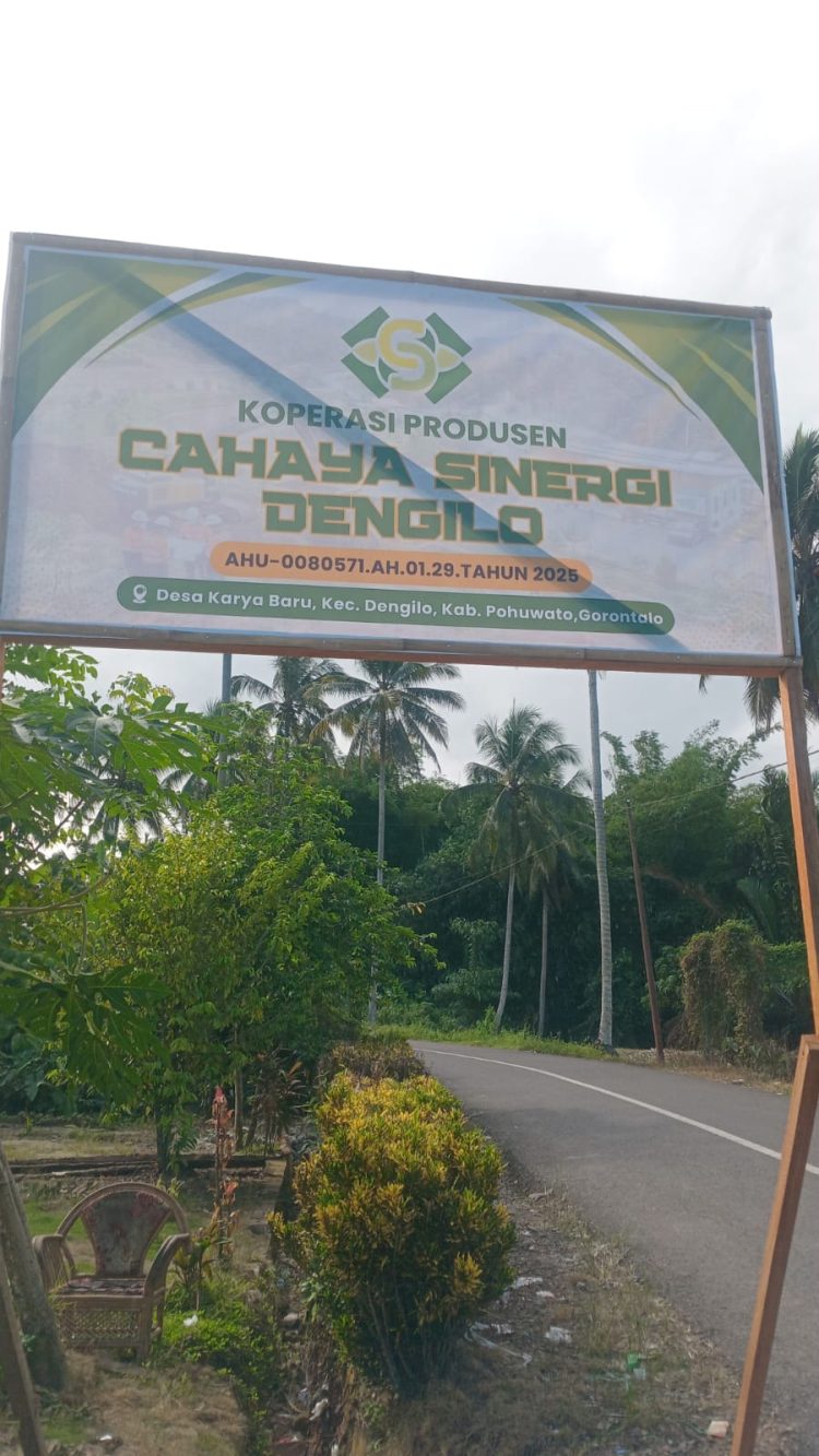 Koprasi Pemegang Izin Pertambangan Di Dengilo Protes: Peti Berjalan Bebas, Kami Justru Terkendala